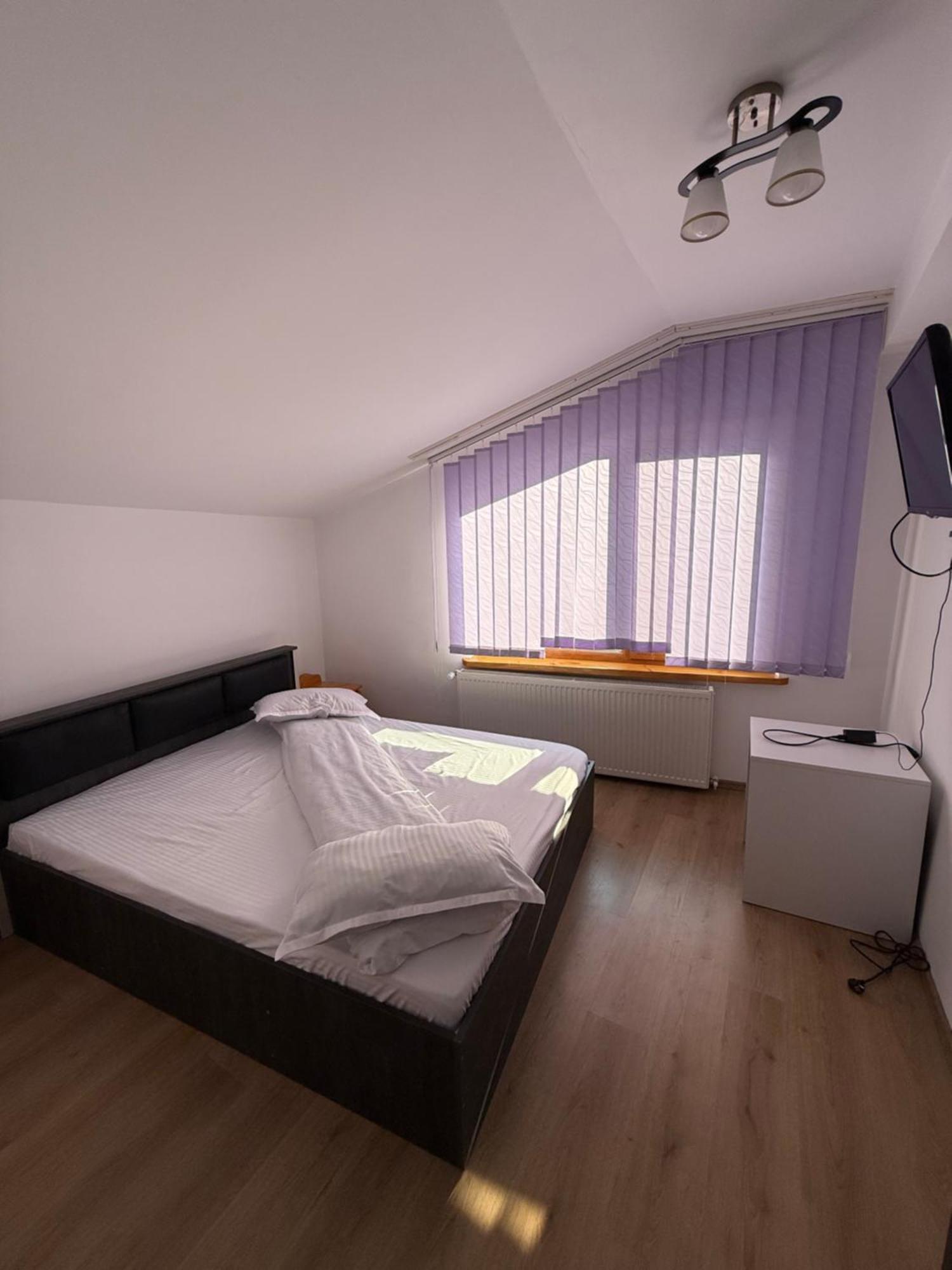 Rucăr Casa Maryonヴィラ エクステリア 写真