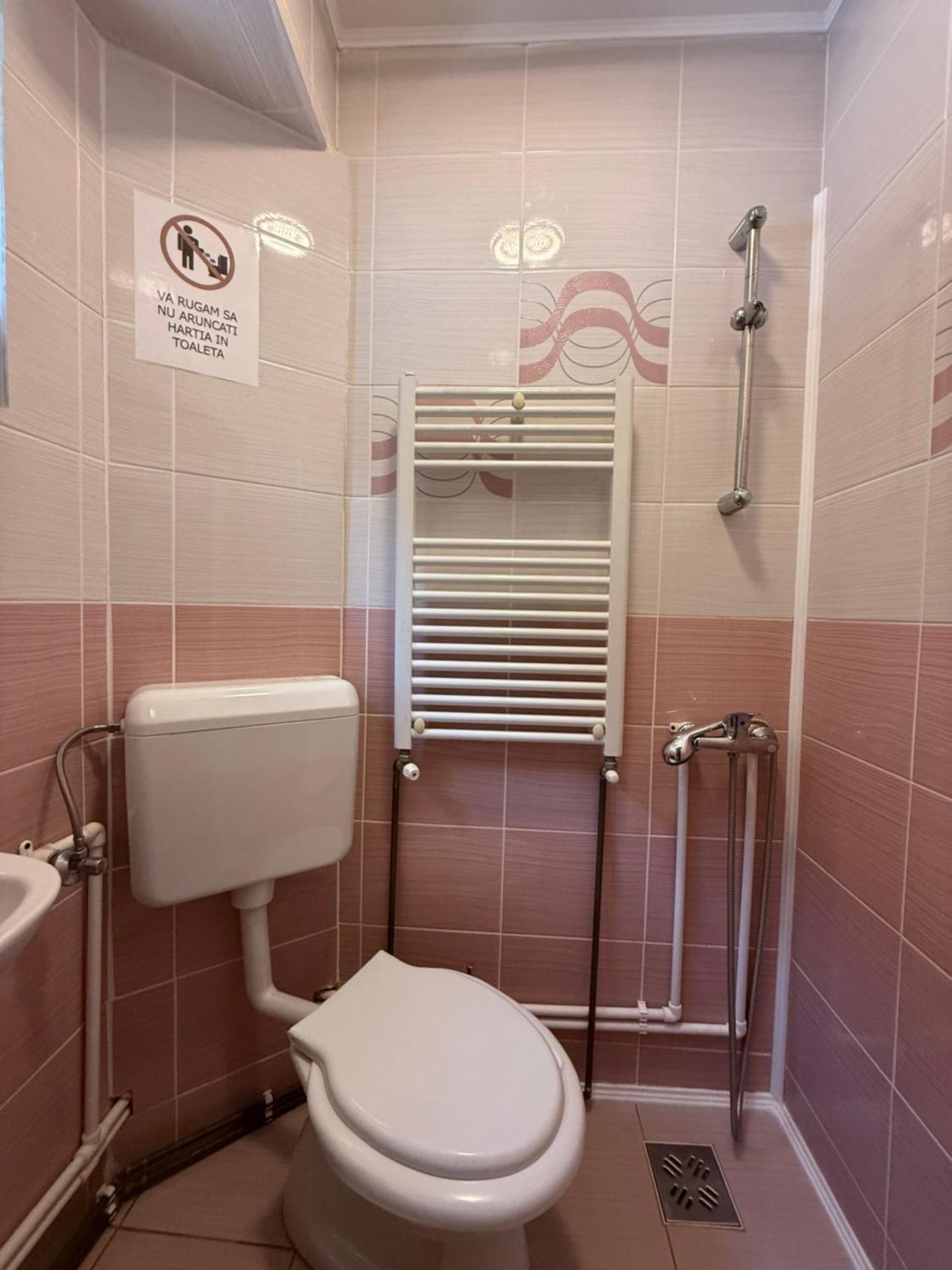 Rucăr Casa Maryonヴィラ エクステリア 写真