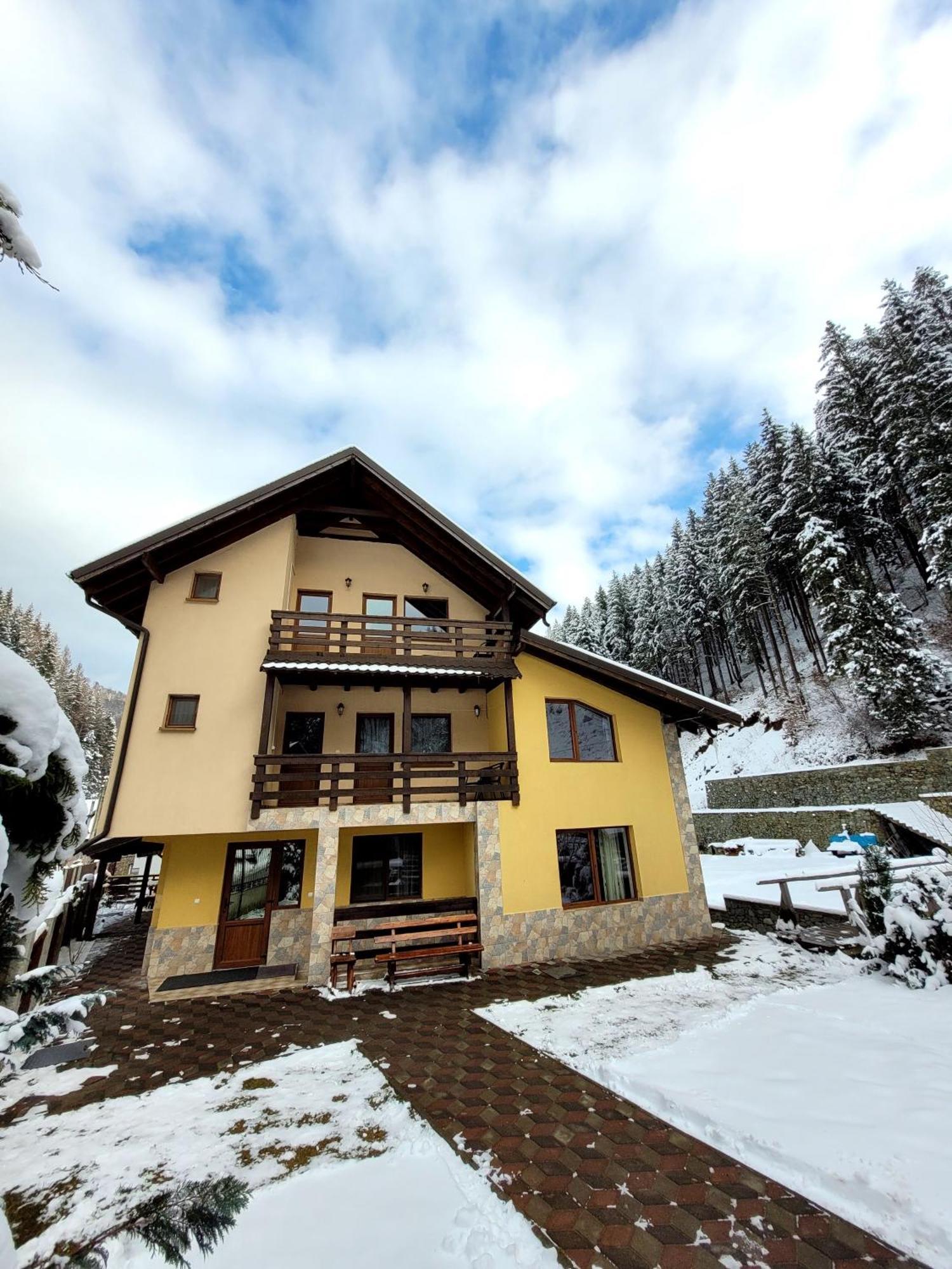 Rucăr Casa Maryonヴィラ エクステリア 写真